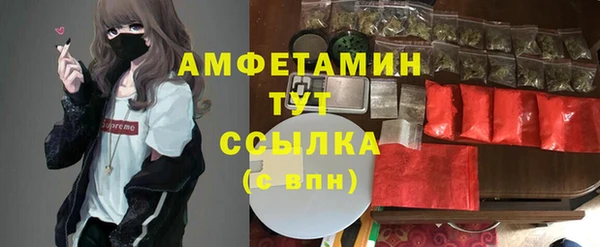 спиды Нефтекумск