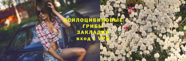 спиды Нефтекумск