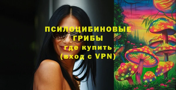 спиды Нефтекумск