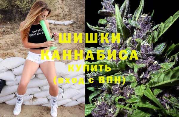спайс Нея
