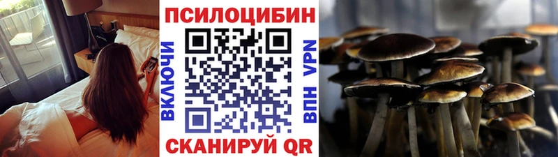 мега ССЫЛКА Щучье Псилоцибиновые грибы Cubensis где продают